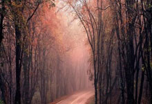 西甲3月最佳U23球员候选：佩德里、尼科、小西蒙尼入围.