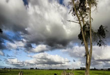 C7娱乐：2025年短道速滑世锦赛第二日：刘少昂摘铜 加拿大队夺得三金2025-03-16.