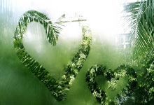 C7娱乐：消息人士透露舒马赫近况：完全依赖护理，再也无法用语言表达.