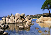 C7娱乐：孔蒂：如果我们现在还不考虑争冠的问题，那我们.